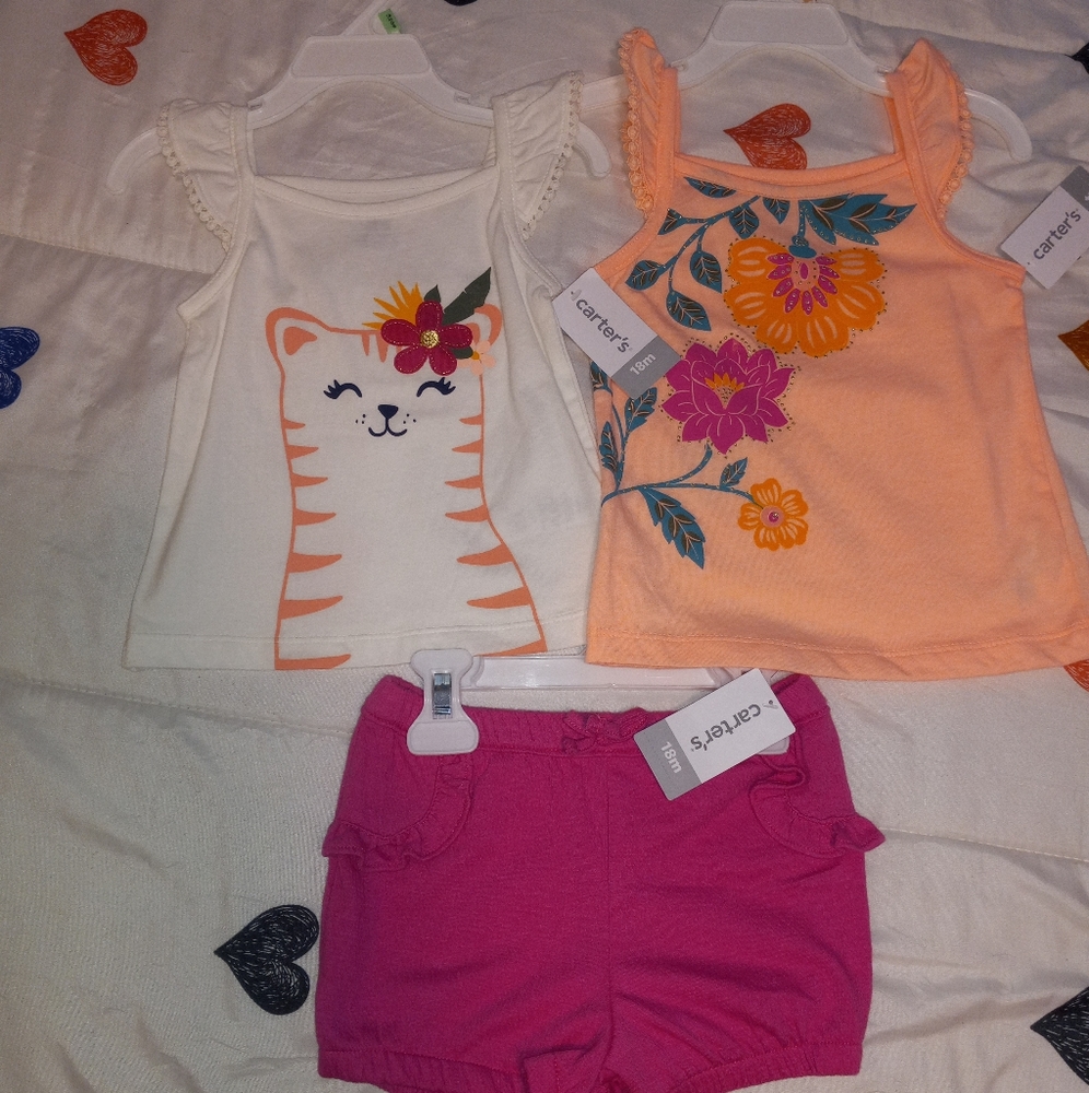 NWT Carter's Baby Girl/Toddler